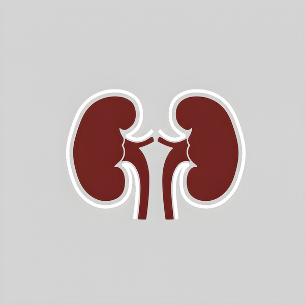 RENAL EXCRETION