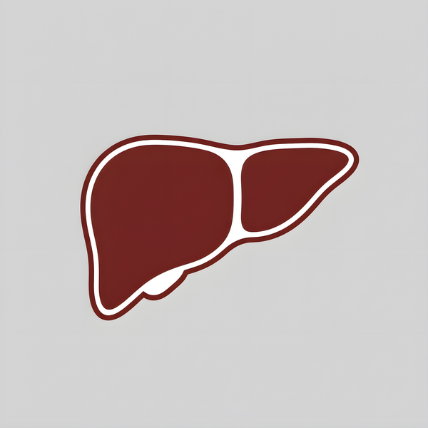 LIVER METABOLISM