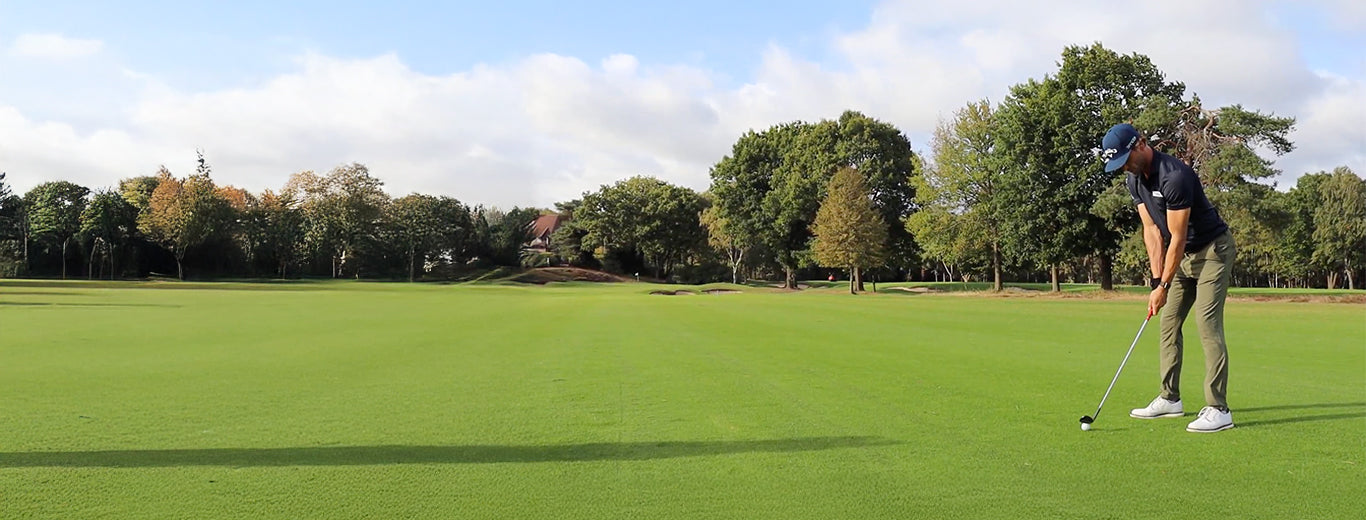 Golfer on a green putting a golf ball on a course with trees in the background