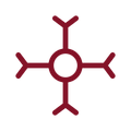Bio-active B-matrix